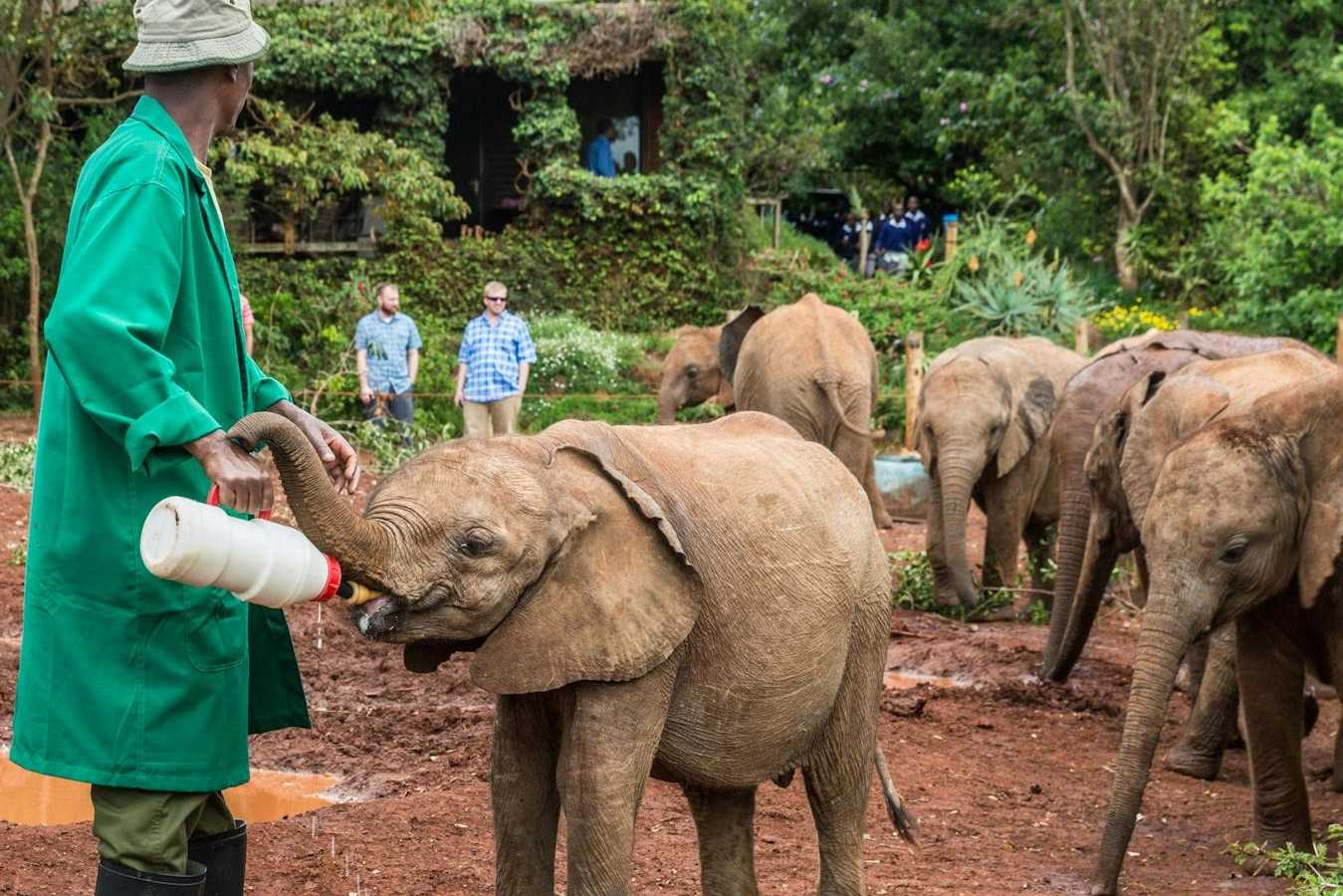 Best cities in Kenya