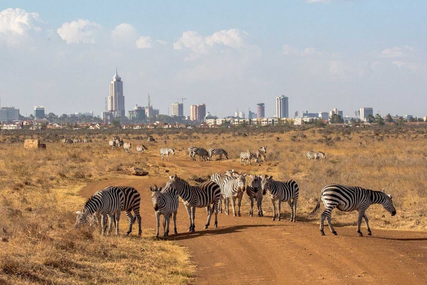 Best cities in Kenya