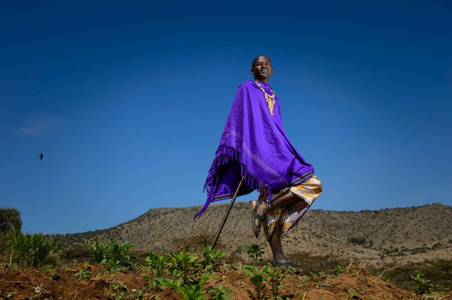 conservation projects in africa