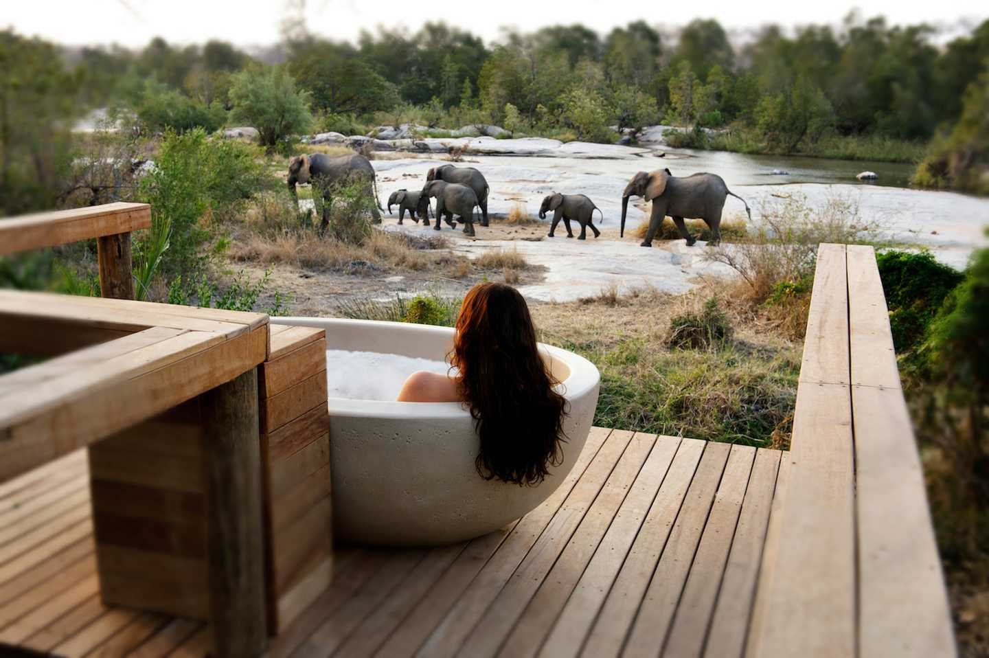 Best South African Big five safari