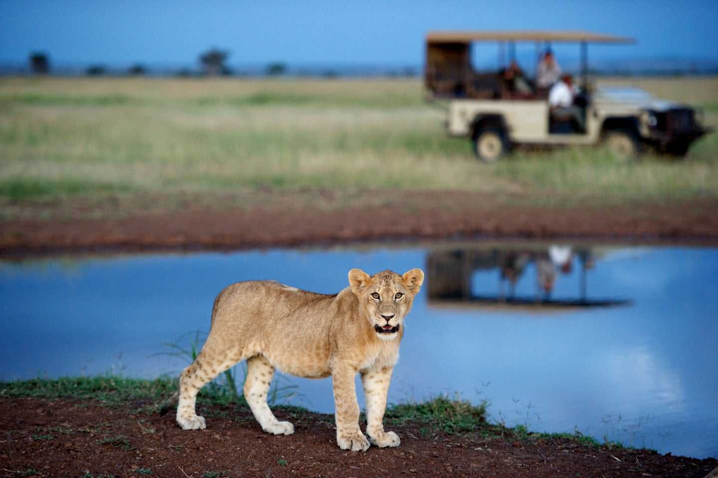 Planning a trip to South Africa