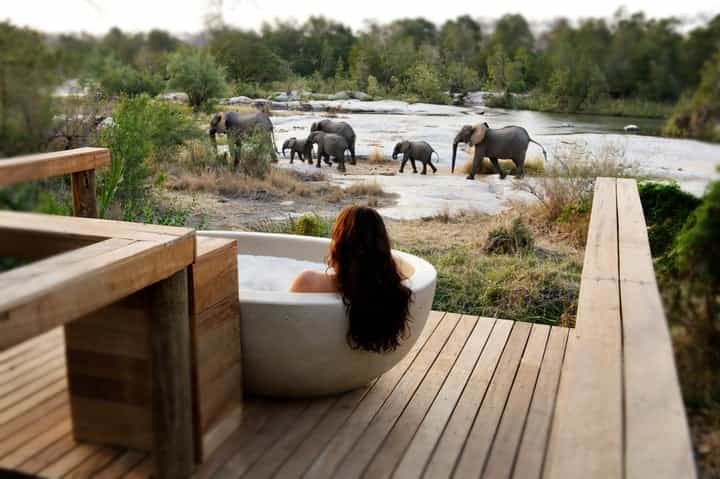 granite londolozie lodges where animals roam free