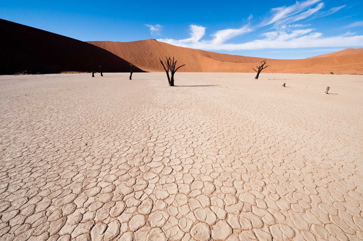 salt pan dead vlei namibia travel tips