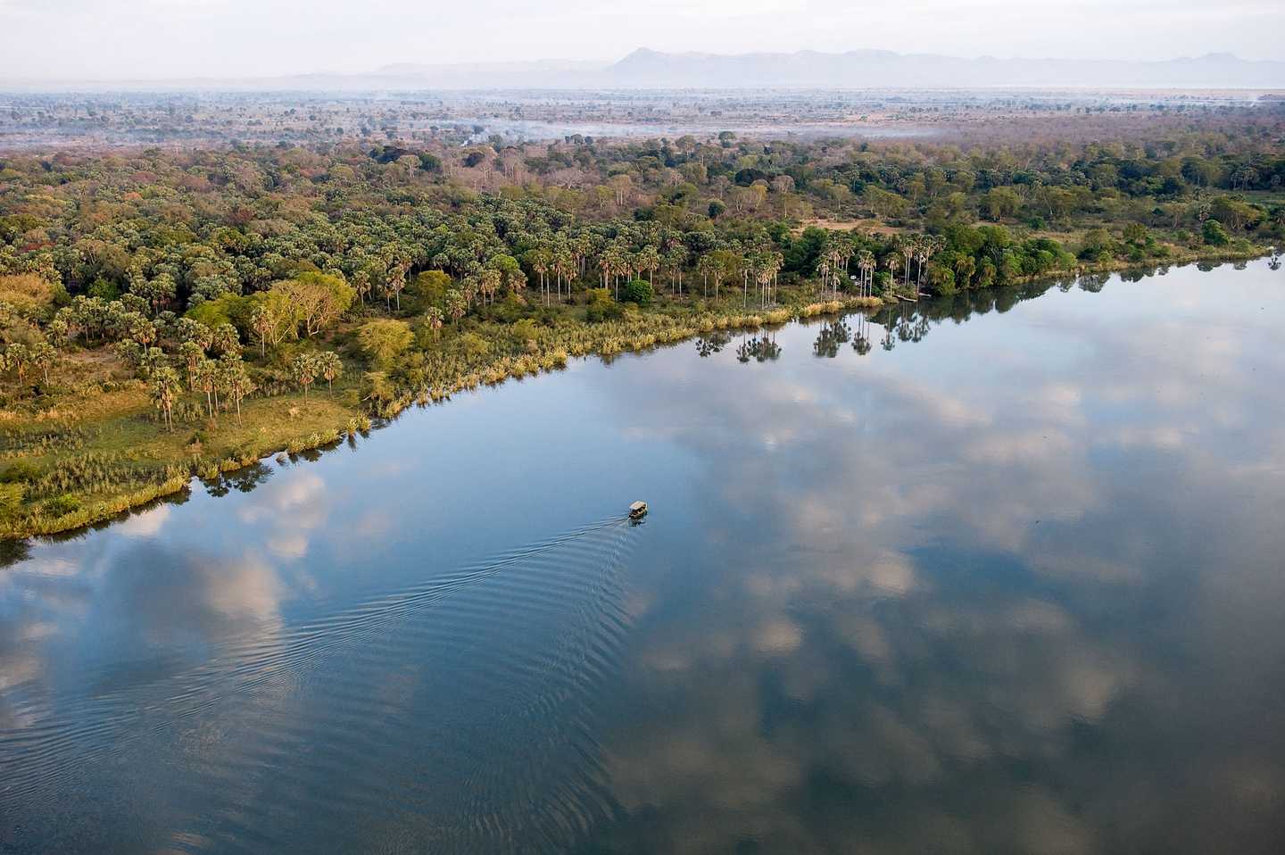 Liwonde National Park - Malawi