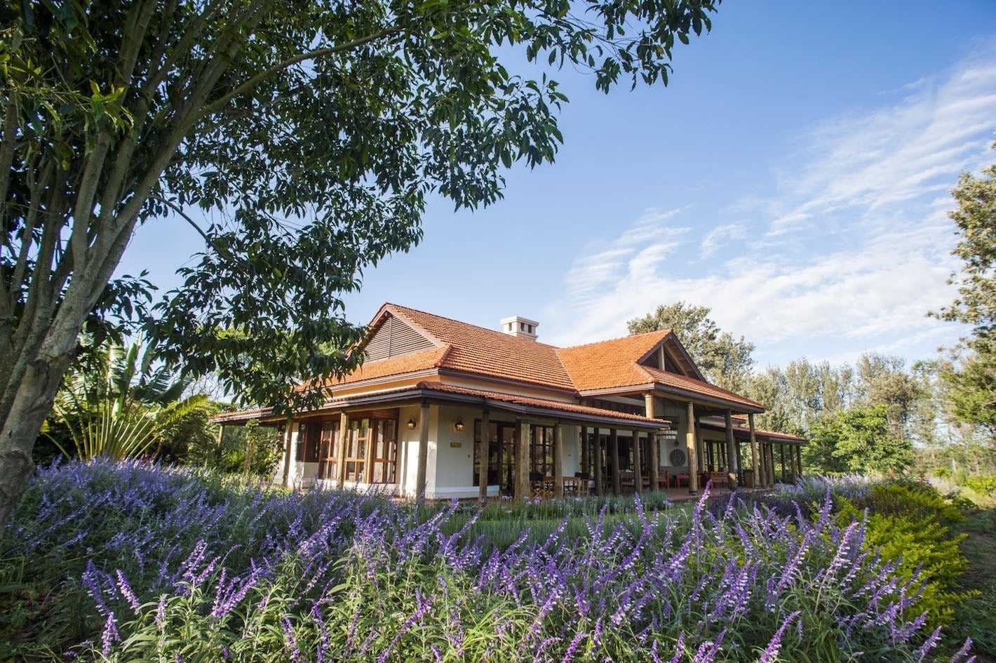 boutique hotels in Tanzania 