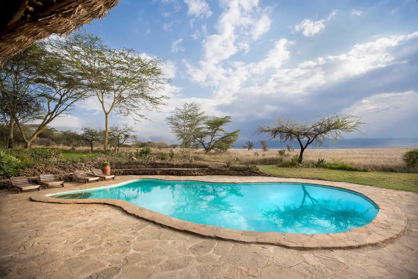 family safari houses