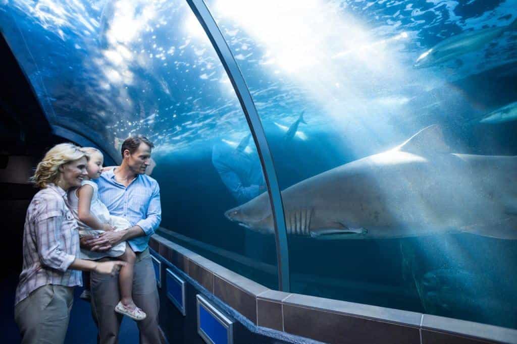 Two Oceans Aquarium - Family activities in Cape Town
