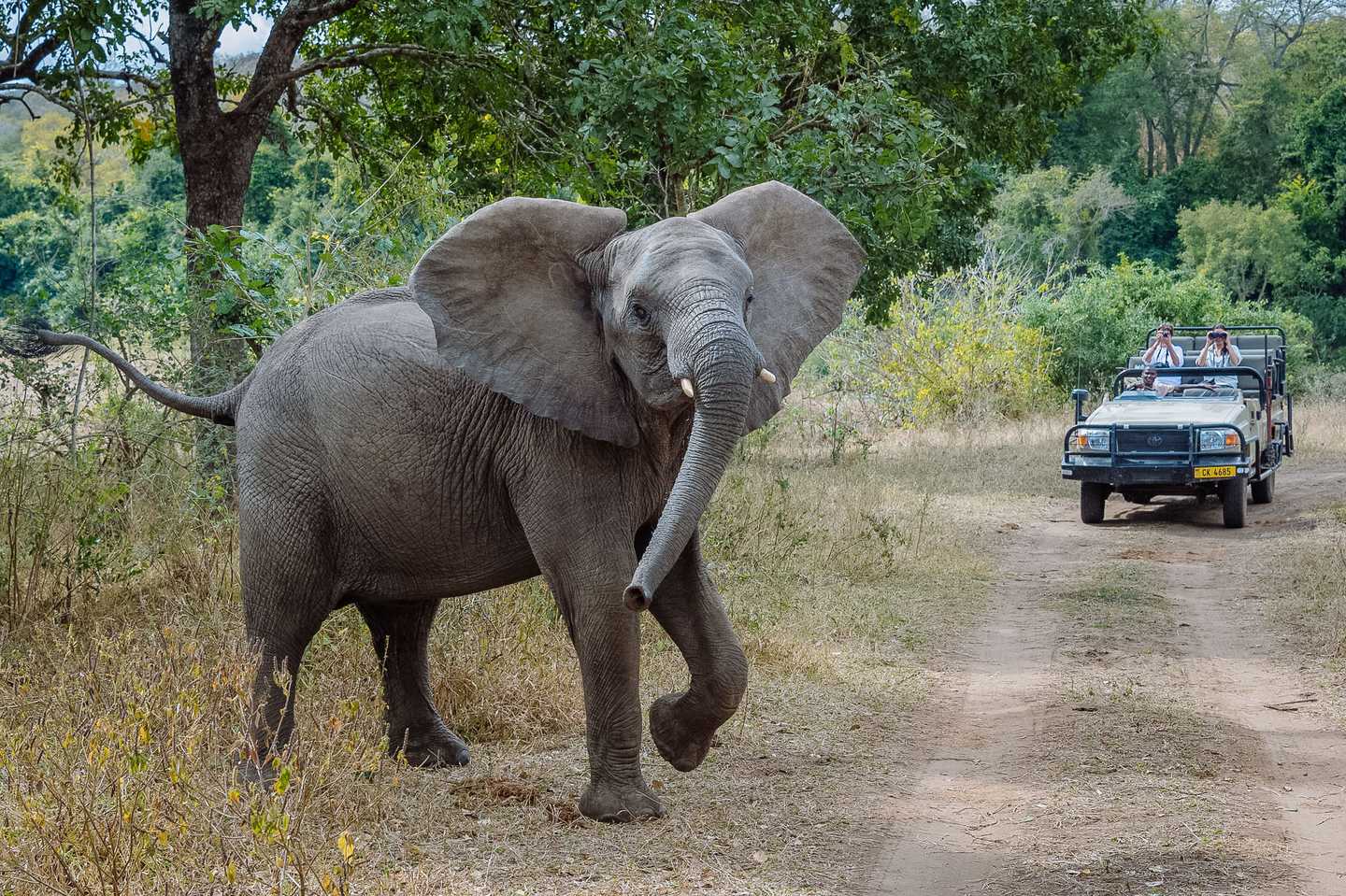 Majete Wildlife Reserve - Malawi Travel Guide