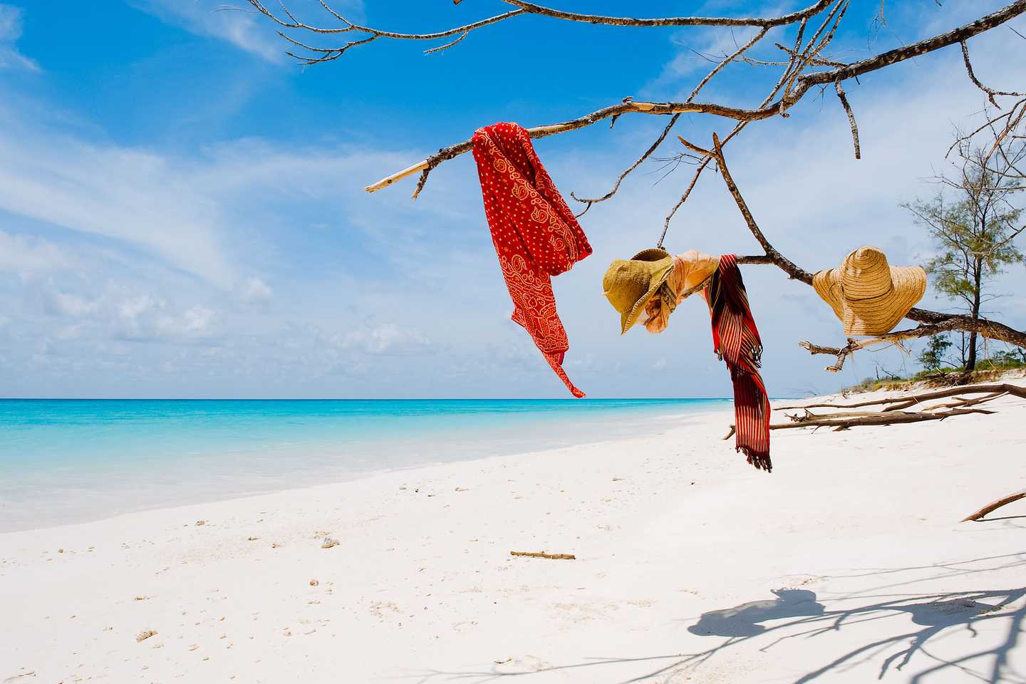 honeymoon safari - Vamizi island