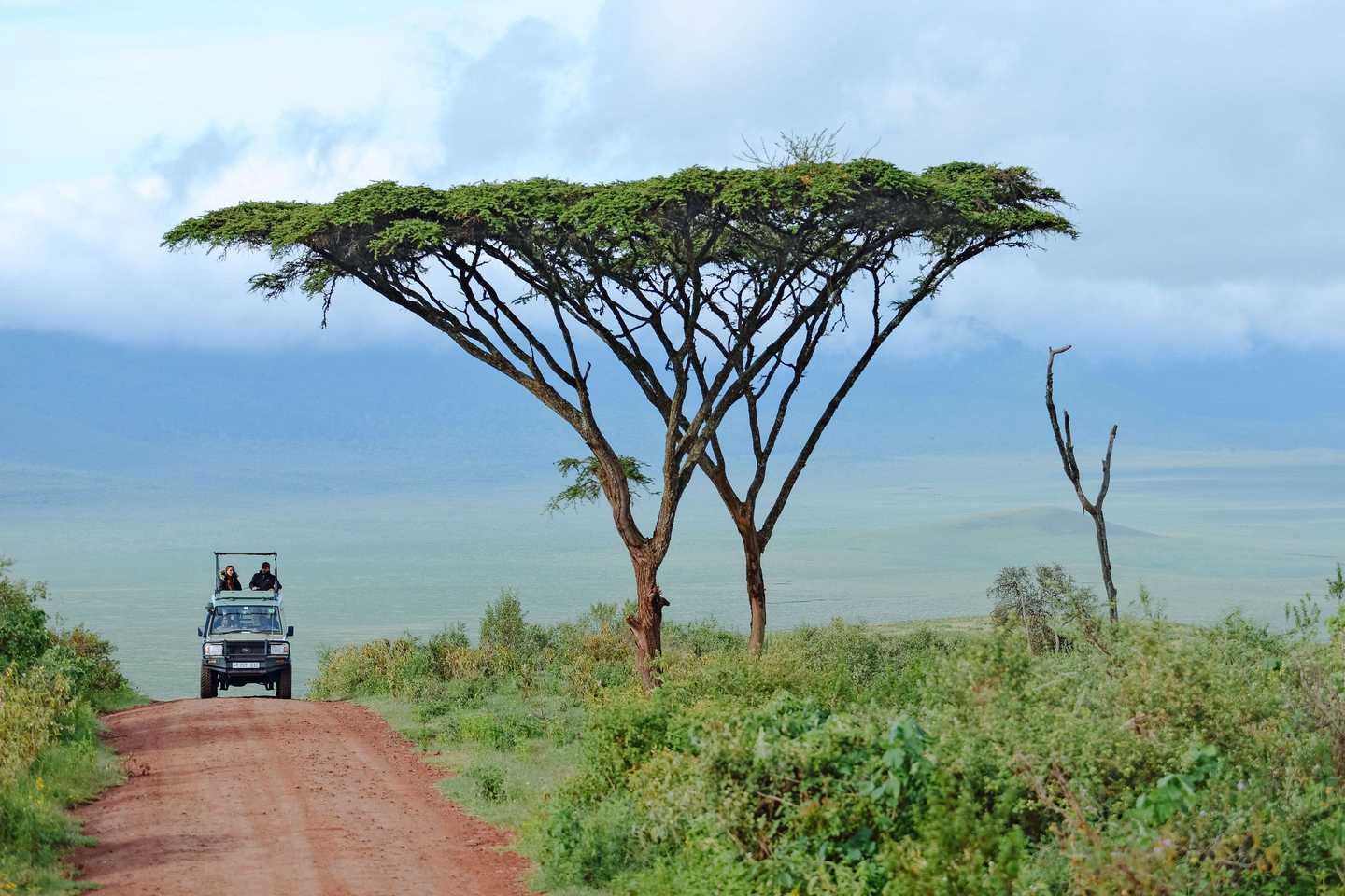 self-drive-ngorongoro-tanzania