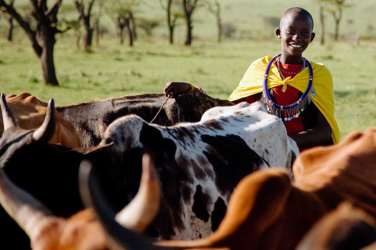 offbeat-mara-campl-masai-mara-kenya