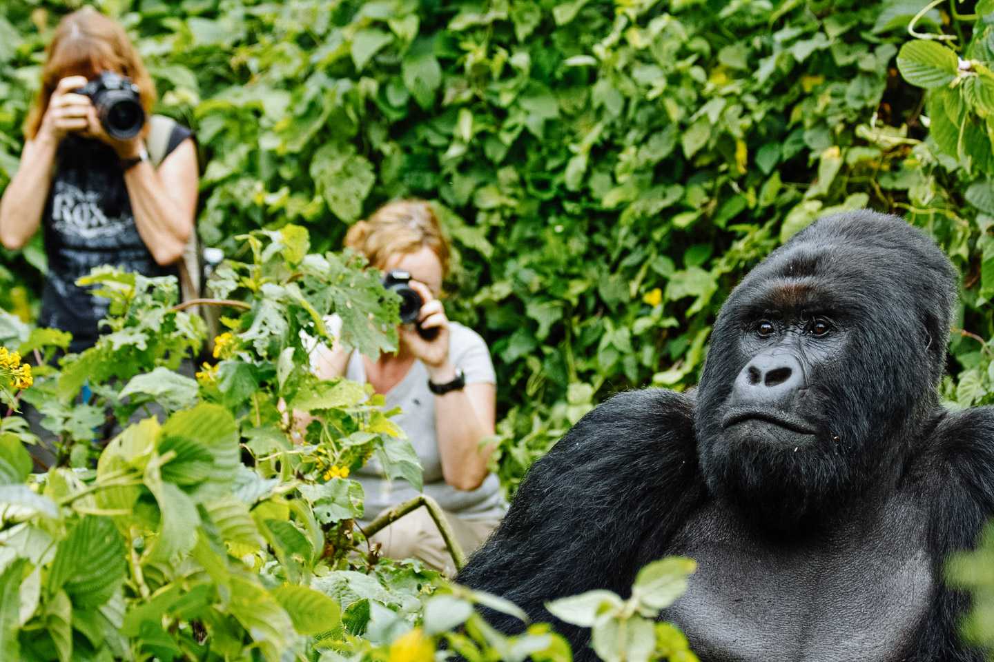 democratic republic of the congo