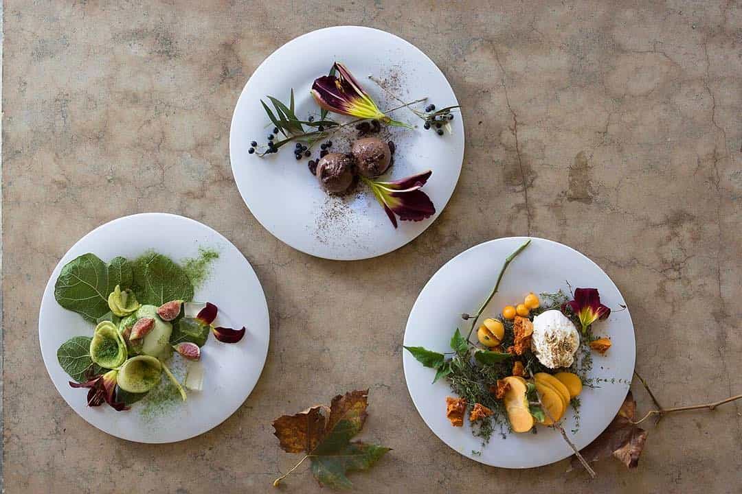safari lodges for foodies babylonstoren winelands