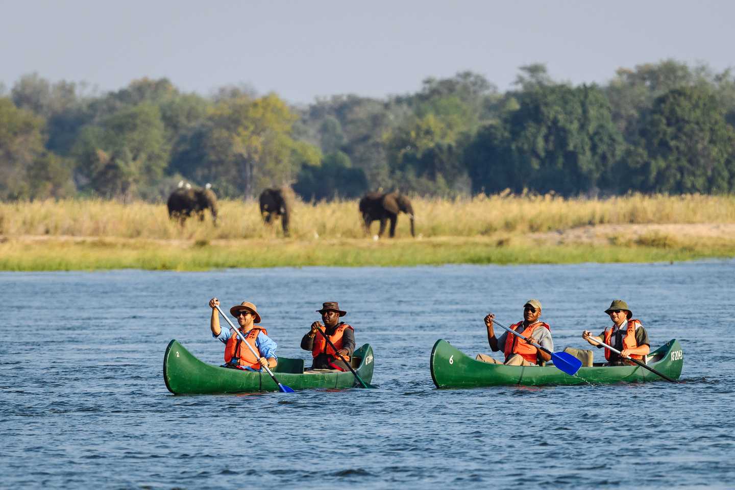 Zimbabwe travel guide - mana pools