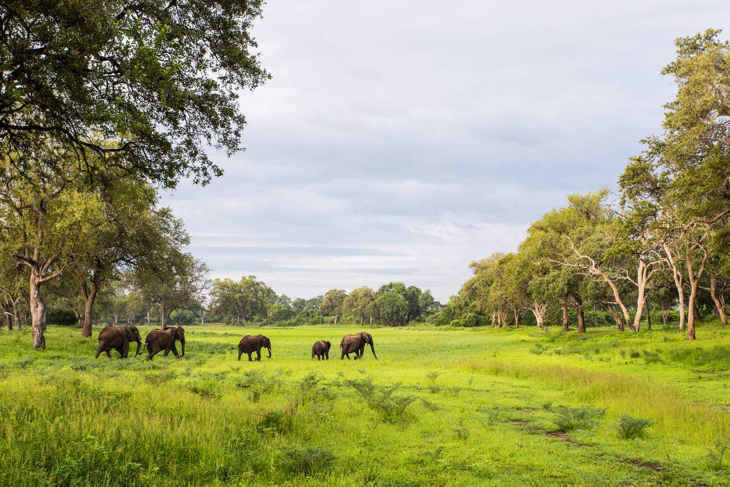 digital detox in africa
