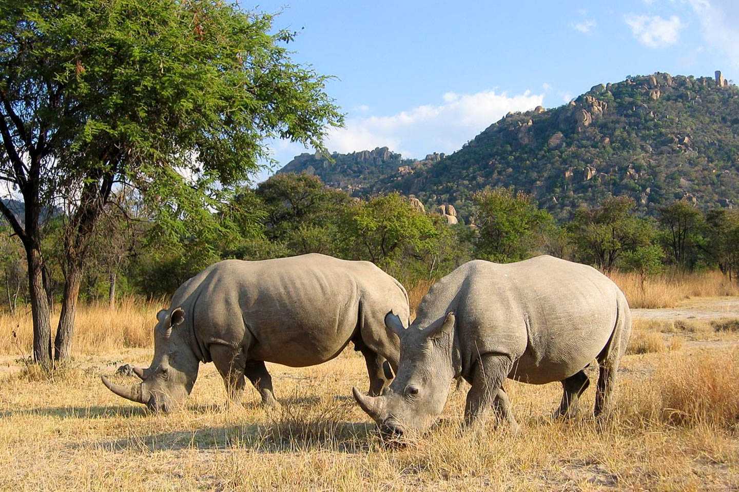 best time to visit Zimbabwe