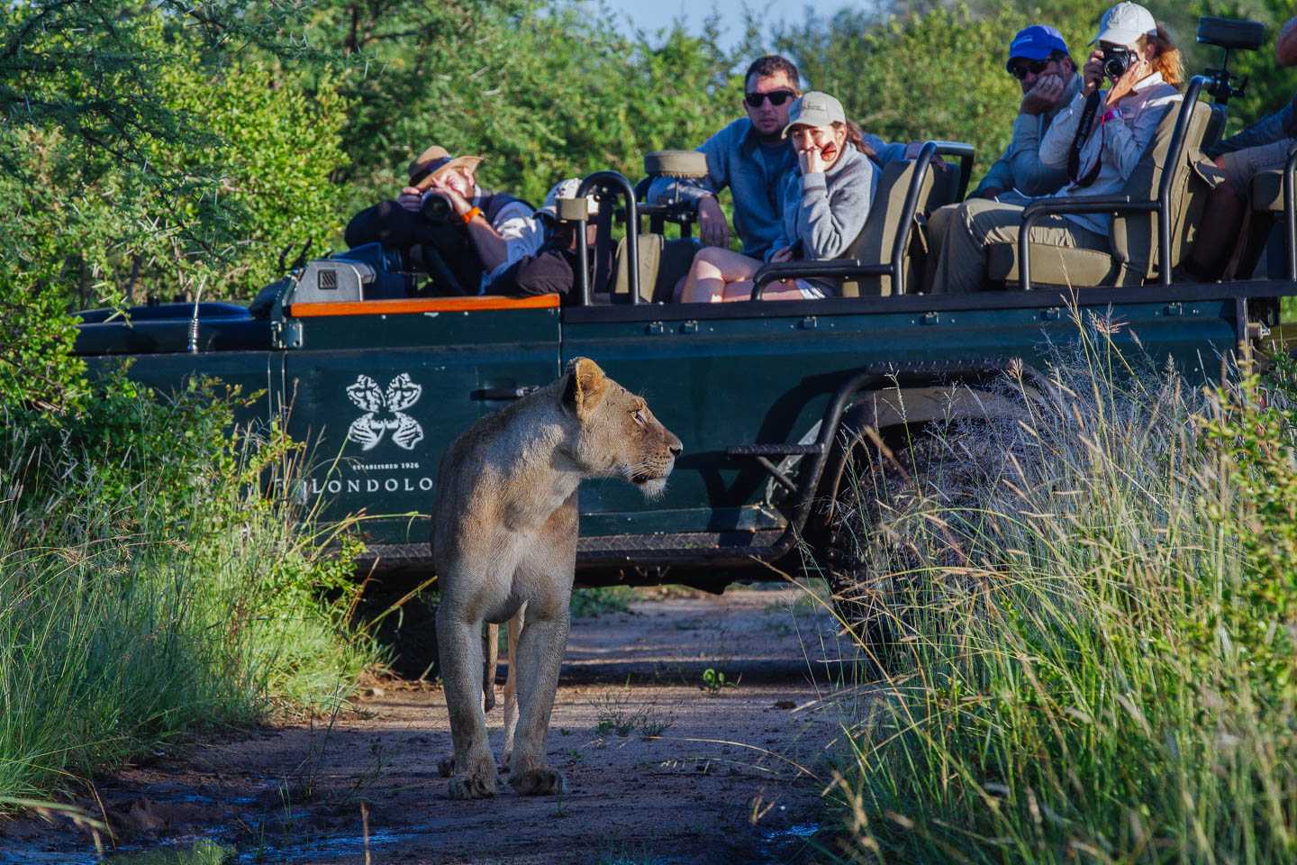 Best South African Big five safari