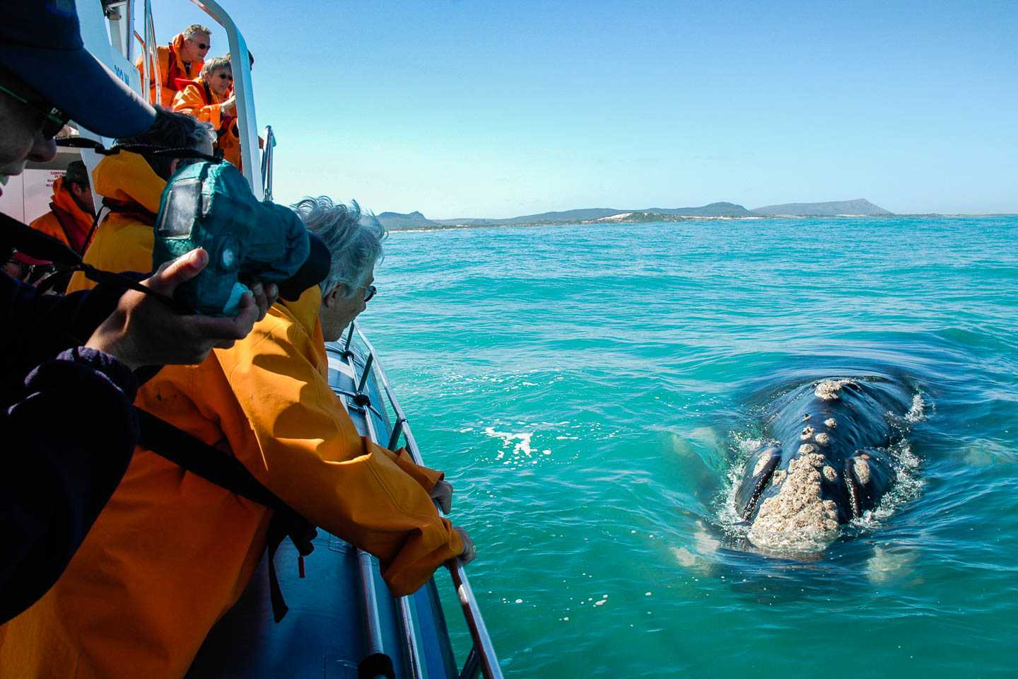 Planning a trip to South Africa