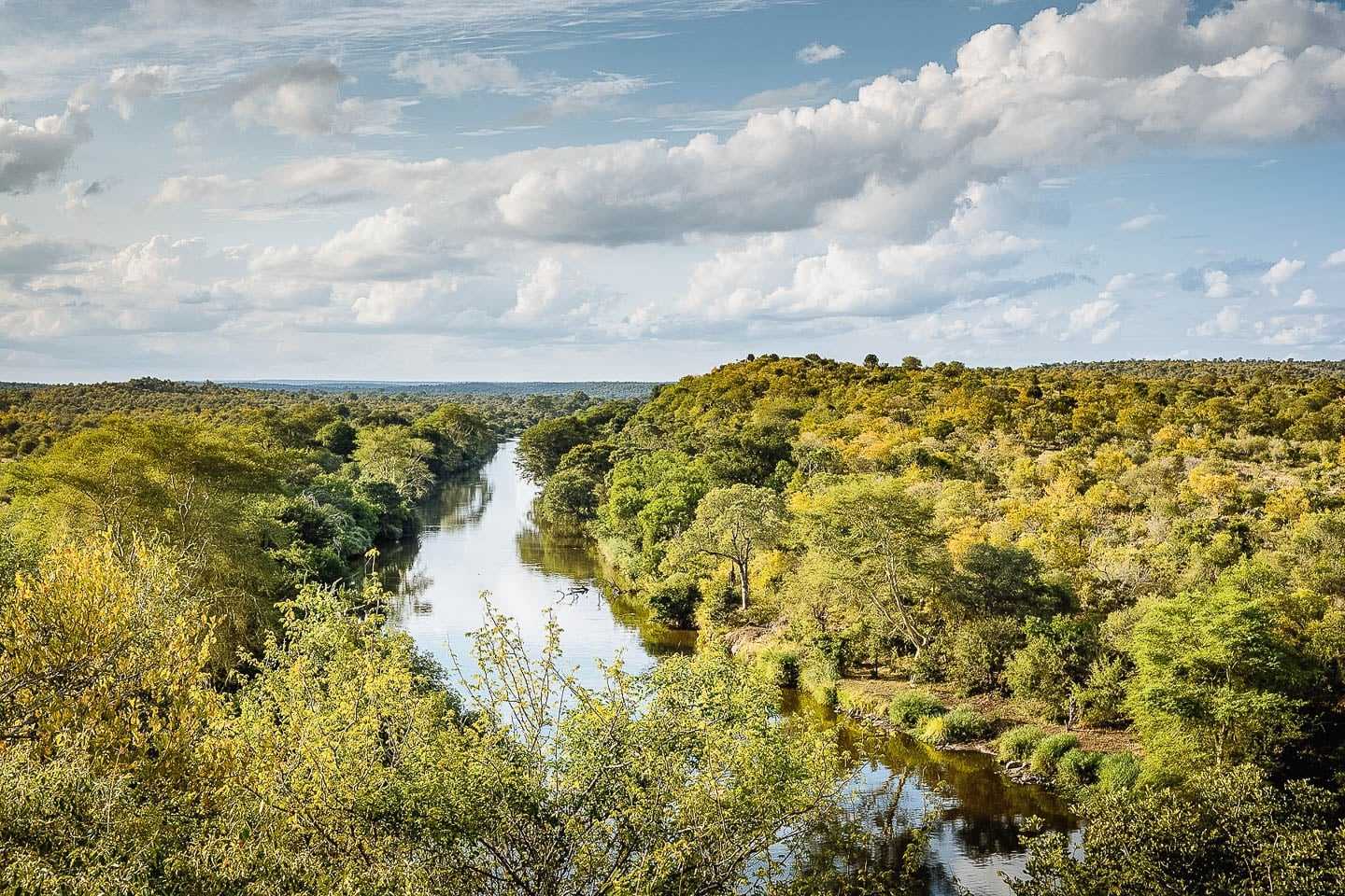 Best South African Big five safari