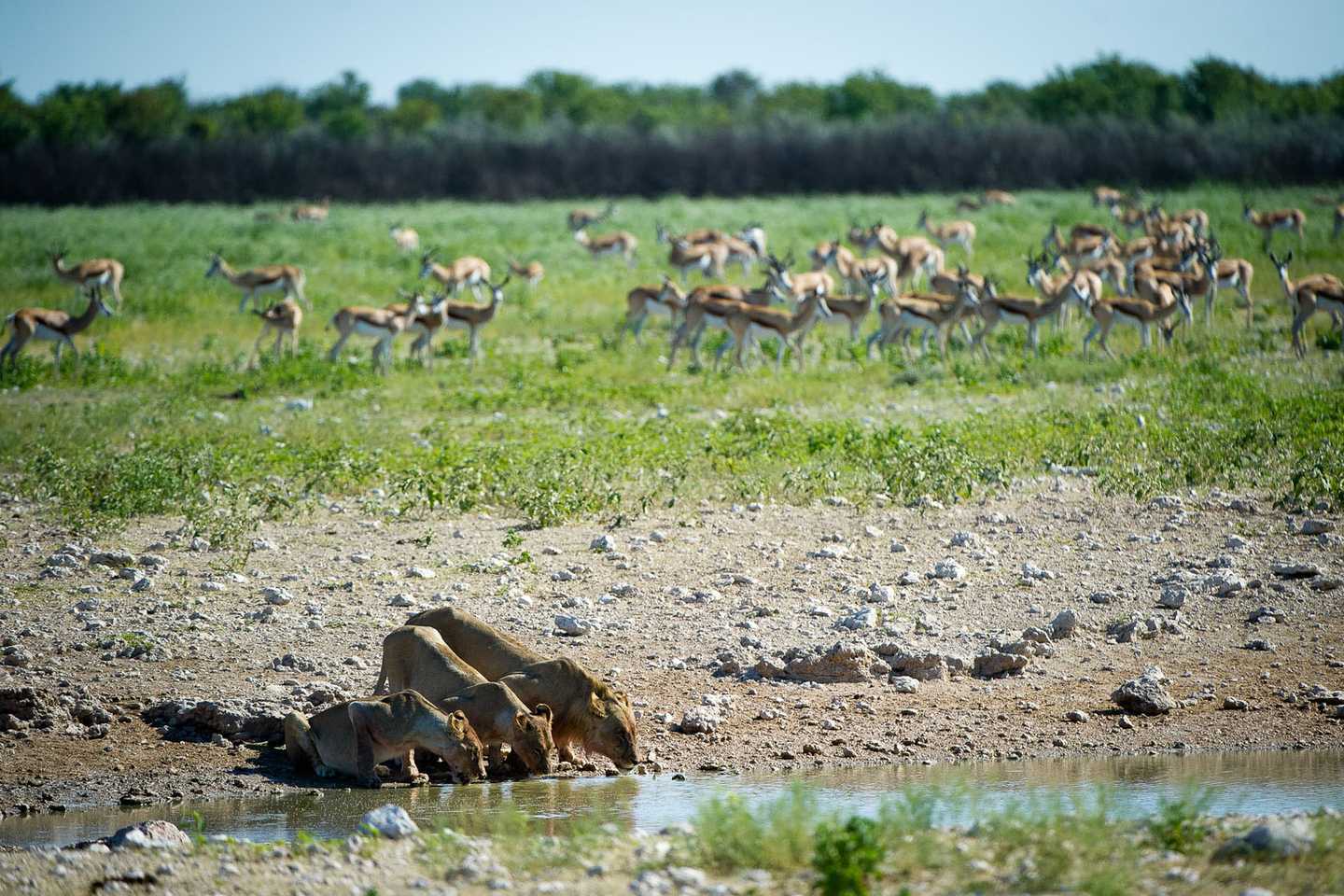 Best time to visit namibia