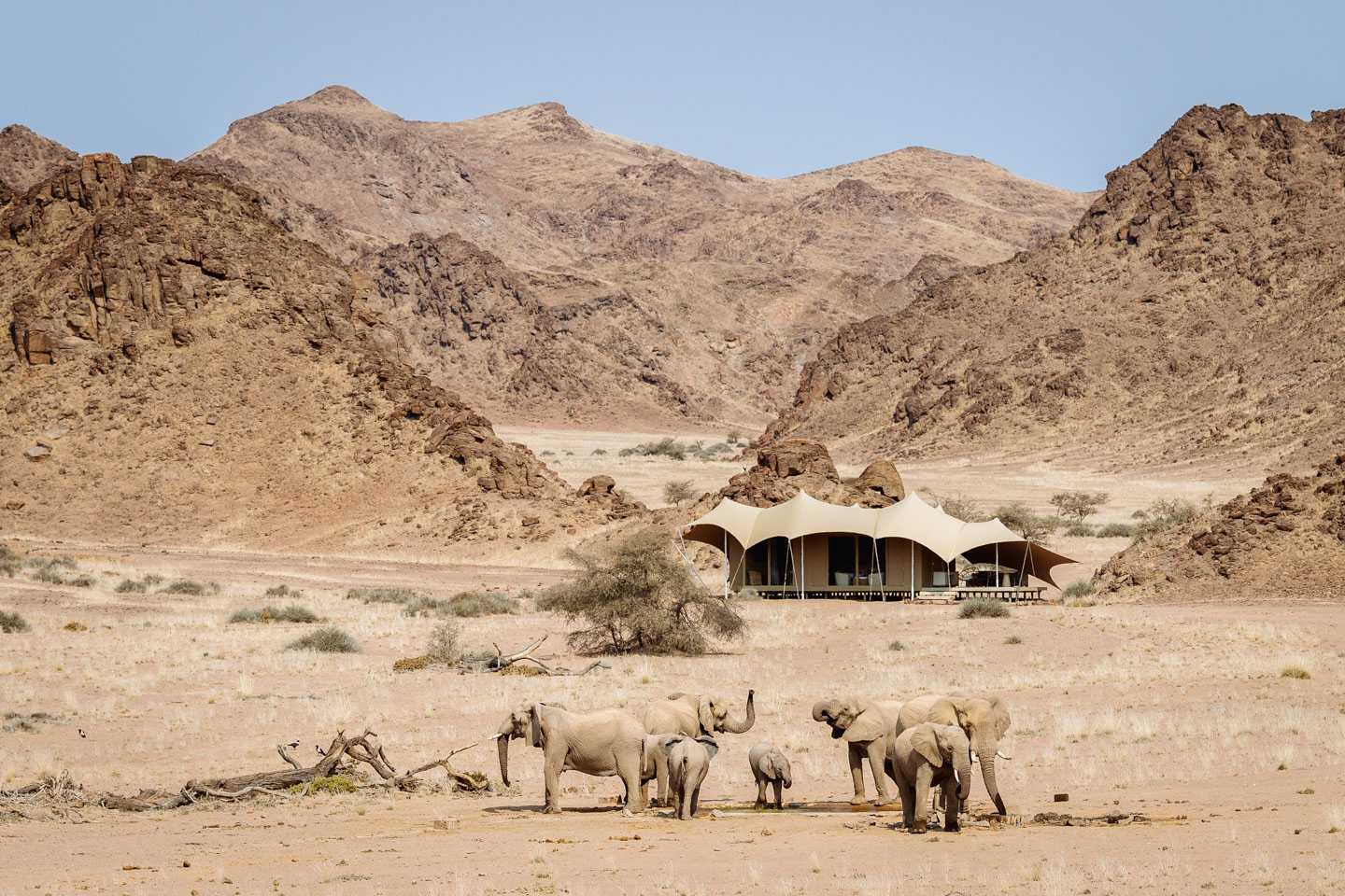 hoanib skeleton coast top lodges where animals roam free