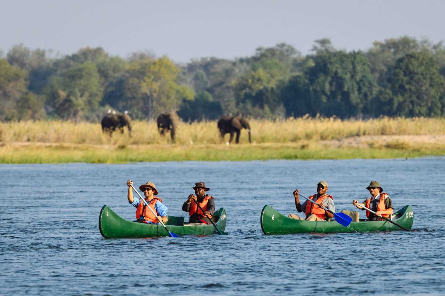 Mana pools canoe trip top african adventures