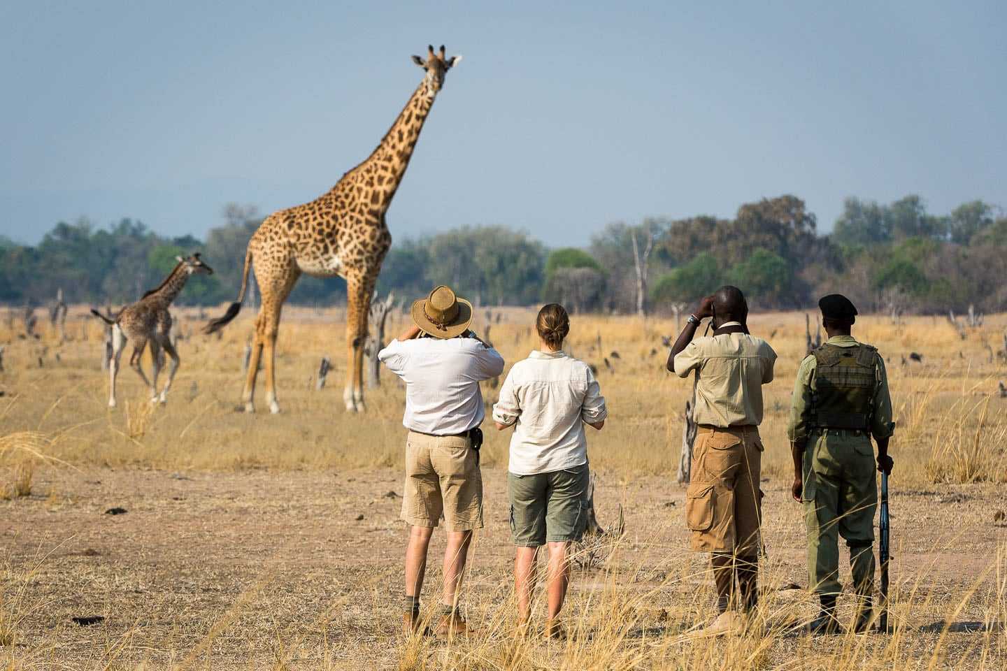 Walking safari south luangwa top 10 african adventures