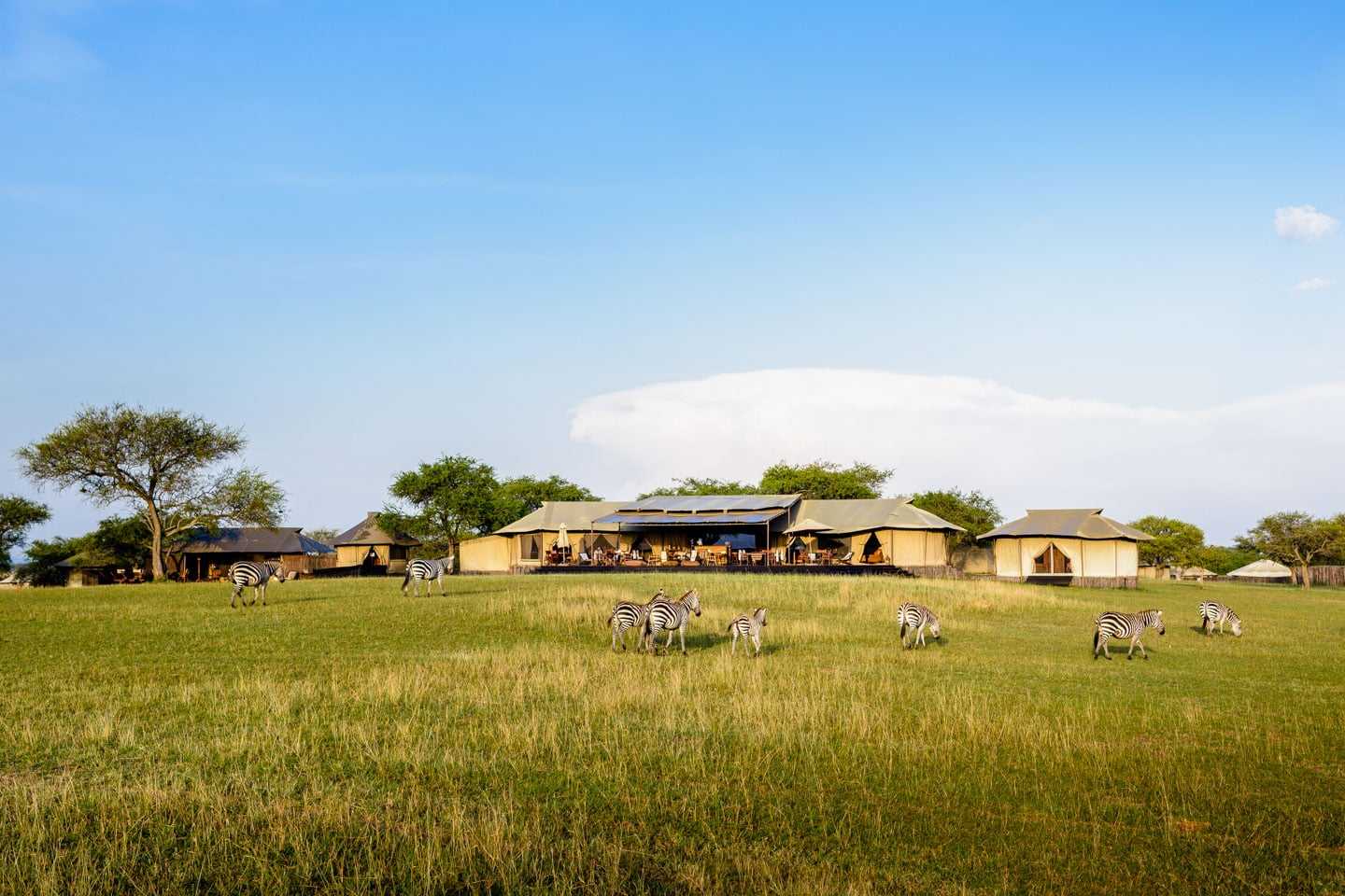 singita sabora top lodges where animals roam free
