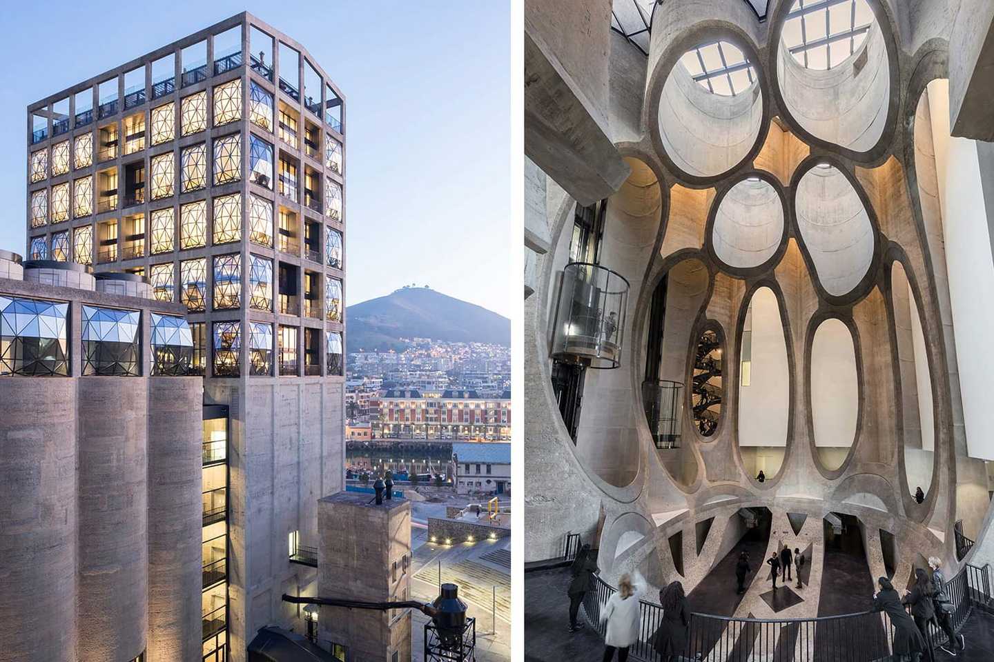 silo zeitz cape town art scene