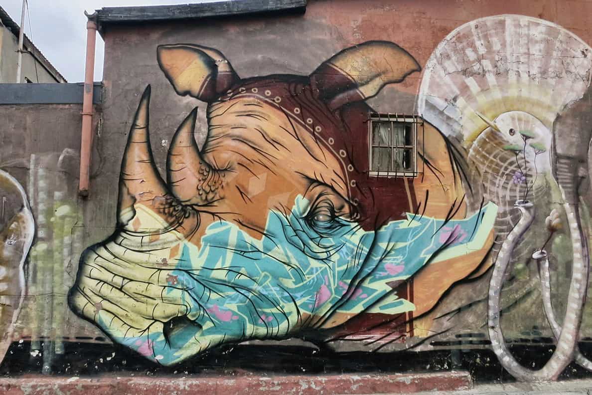 woodstock street art cape town art scene