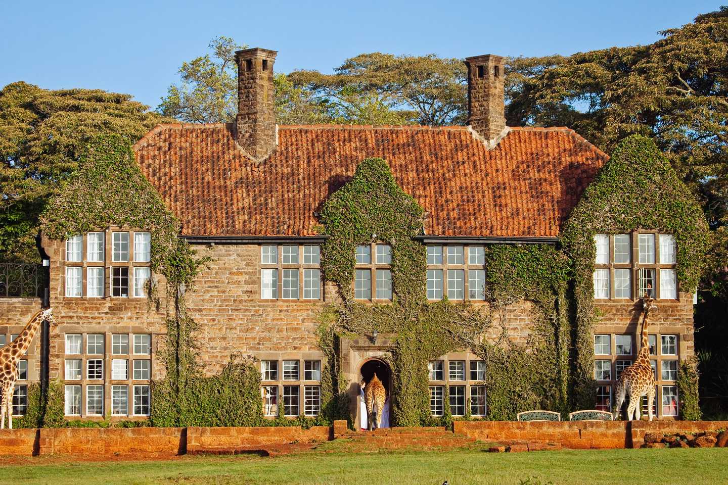 giraffe manor kenya nairobi stop off