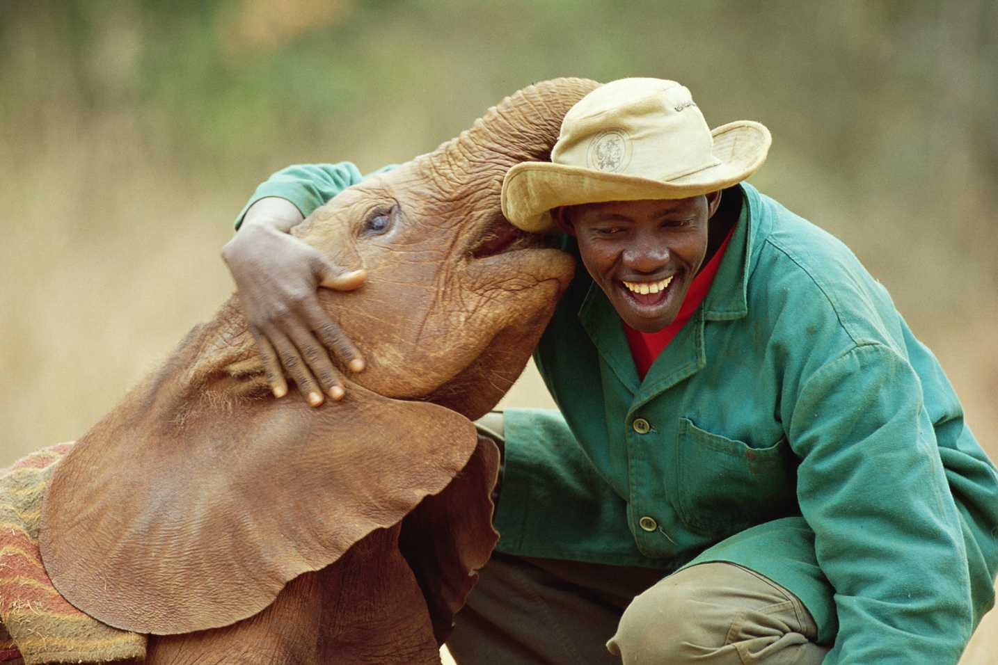 David Sheldrick Wildlife Trust Nairobi kenya stop over