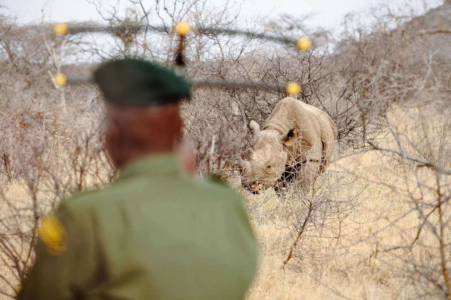 Saruni Rhino Camp, Samburu, Kenya