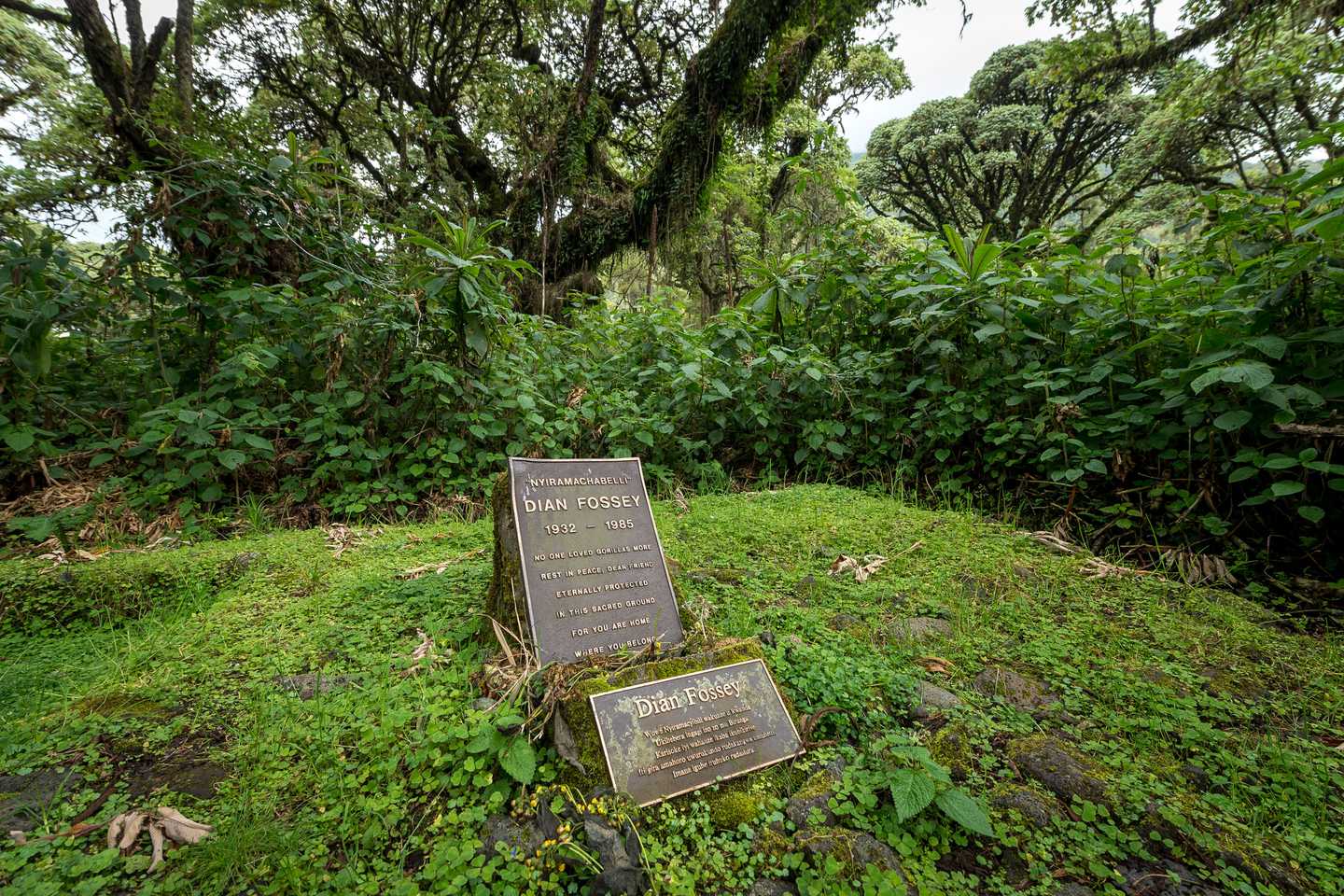 Dian Fossey Grave, Rwanda 
