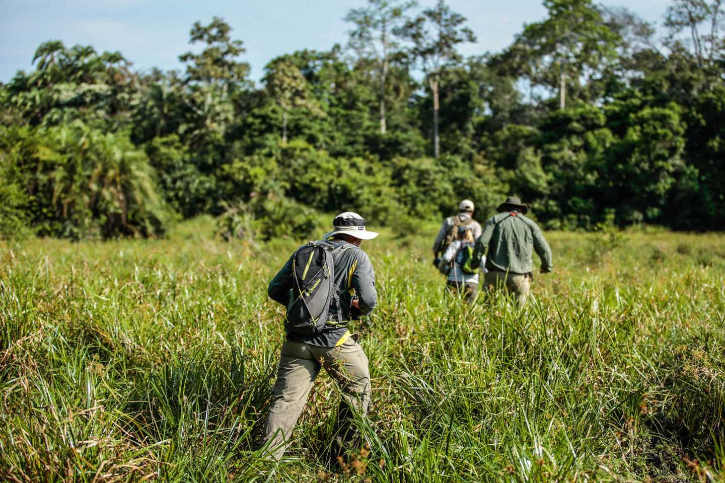 gorilla trekking, Africa