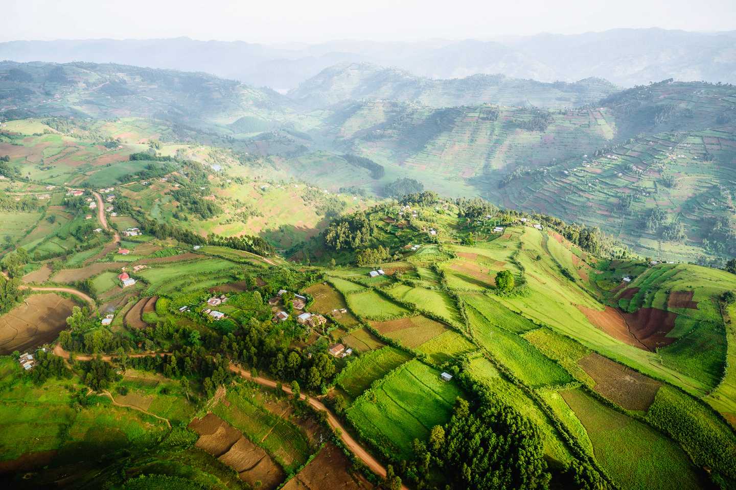 Uganda, Sanctuary Gorilla Forest Camp