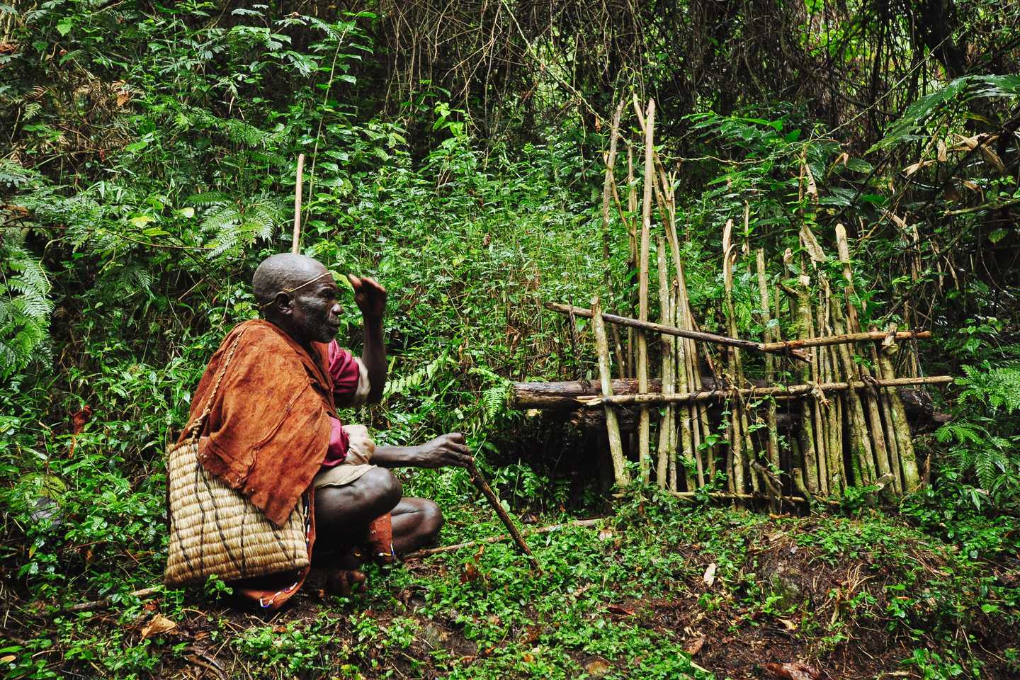 Gorilla tracker in the Bwindi forest, Uganda