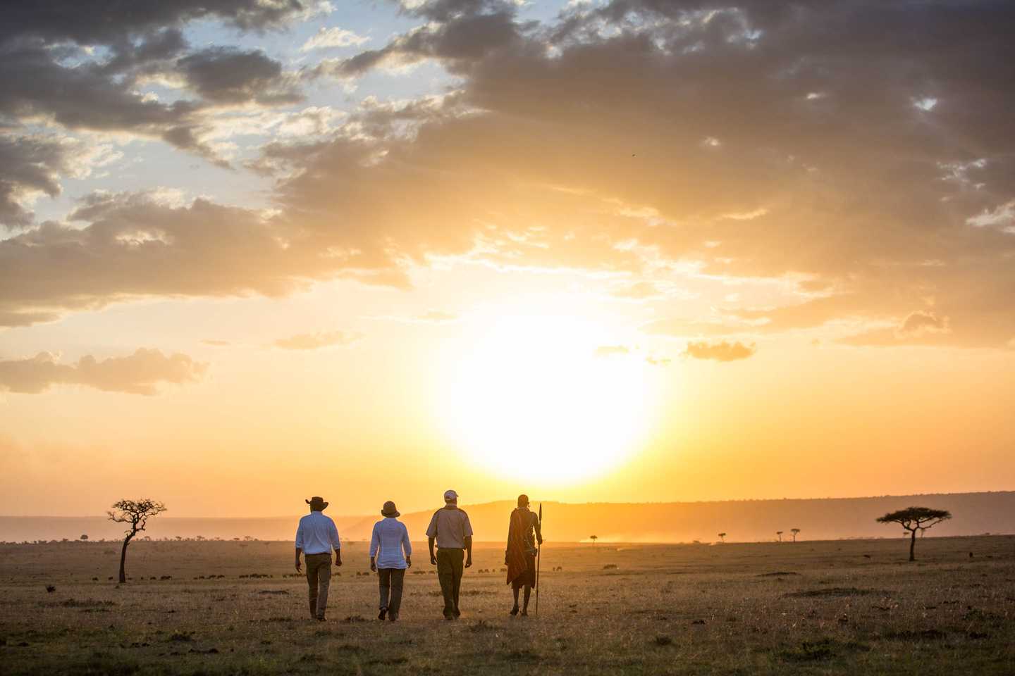 Elephant Pepper Camp Masai Mara Kenya
