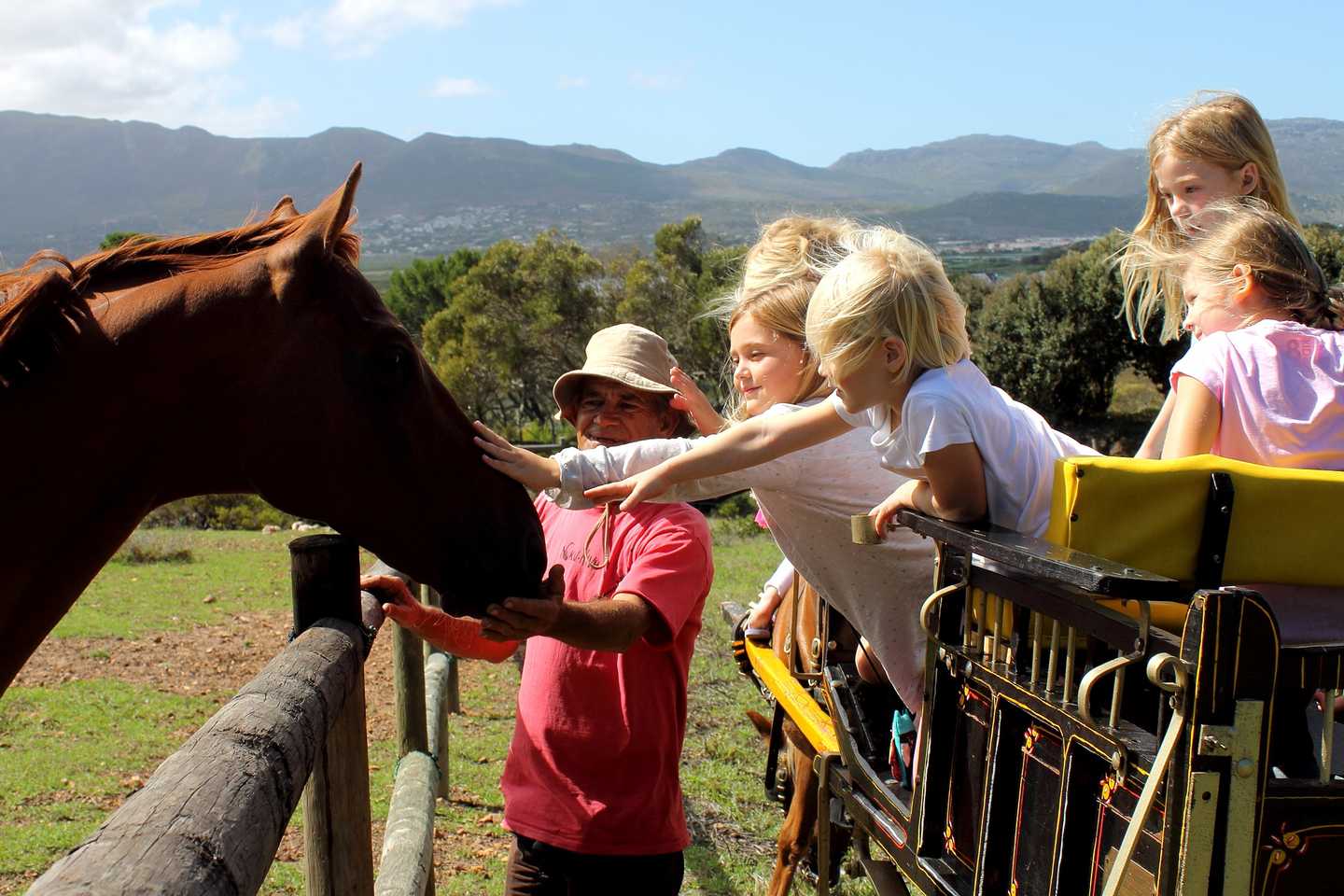Imhoff Farm - Family activities in Cape Town