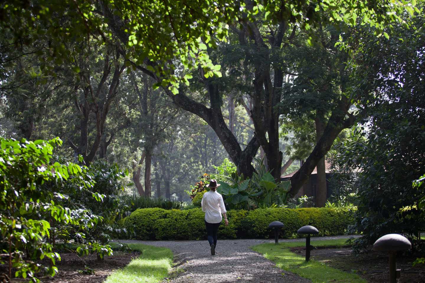 Arusha Coffee Lodge - 24 hours in Arusha