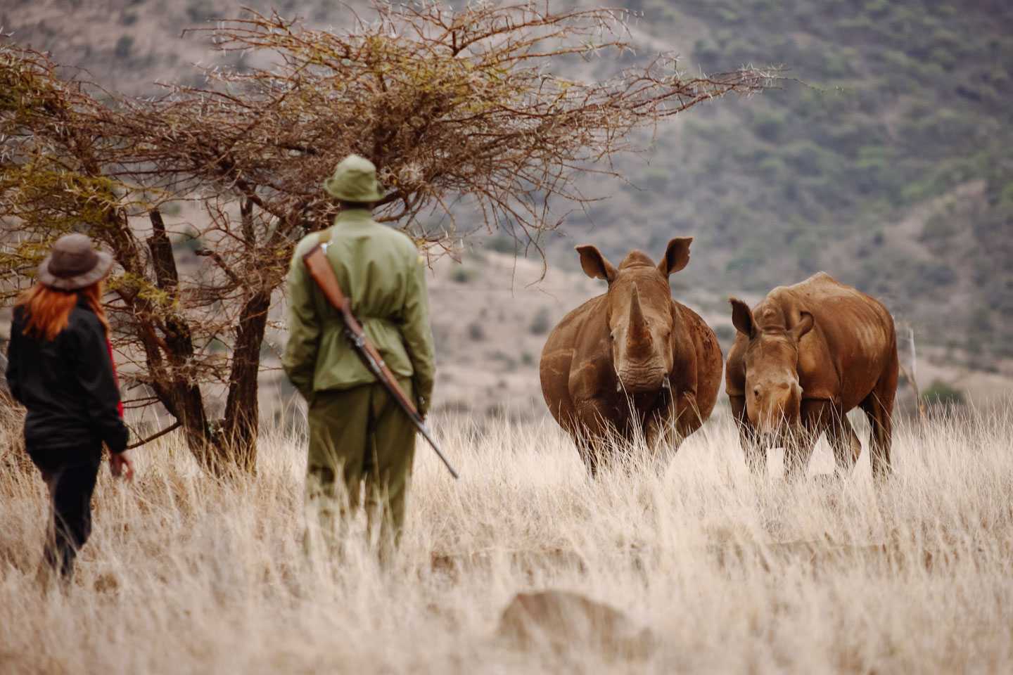 Conservation guide walking world ranger day 