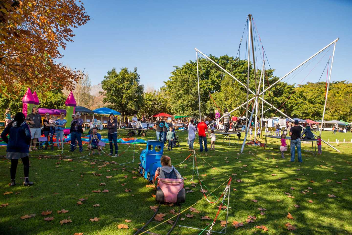 Blaauwklippen Family Market - Family activities in the Cape Winelands