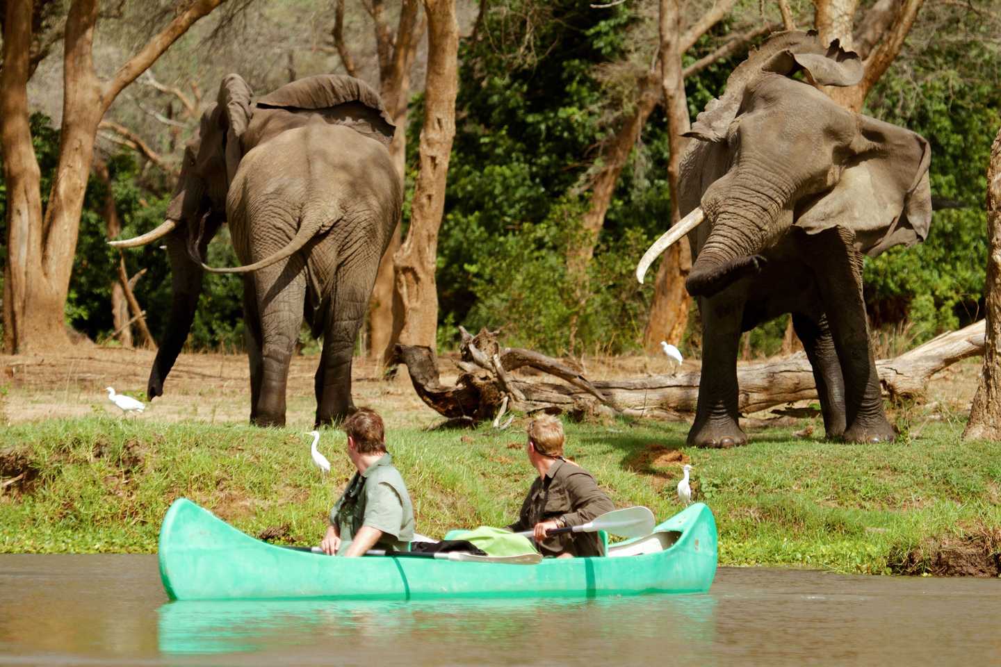 Lower Zambezi - Alternative ways to experience Africa