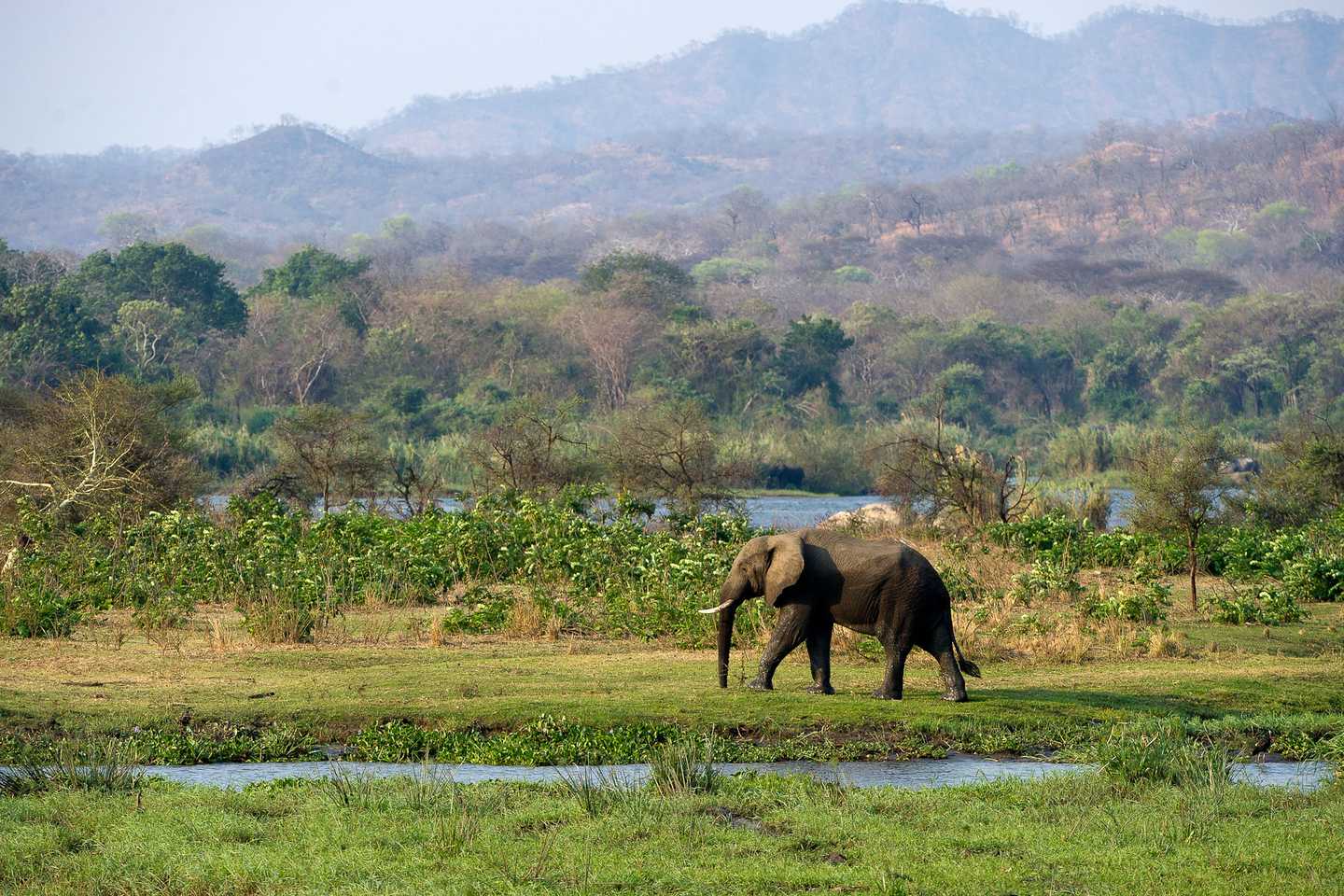 Majete Wildlife Reserve - Malawi