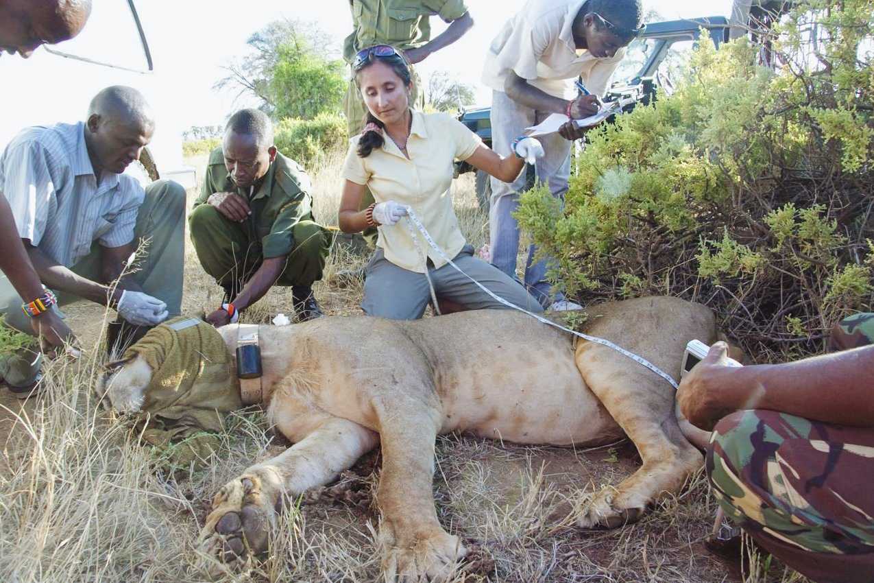 Shivani Bhalla - Women in Africa