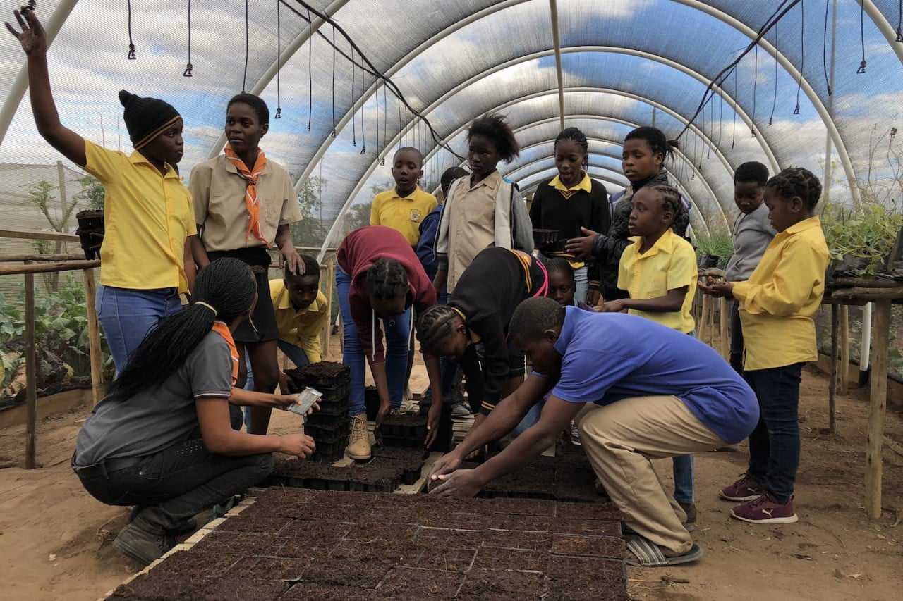 Thornybush 1000 herb and vegetable garden Conservation in south africa