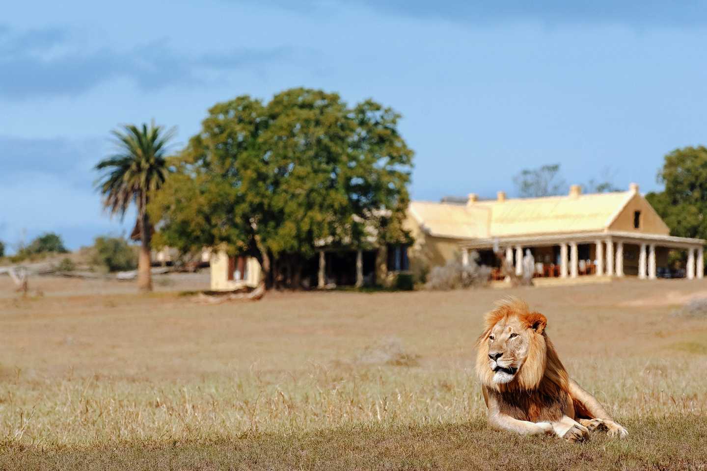 Gorah Elephant Camp - Safaris near Cape Town