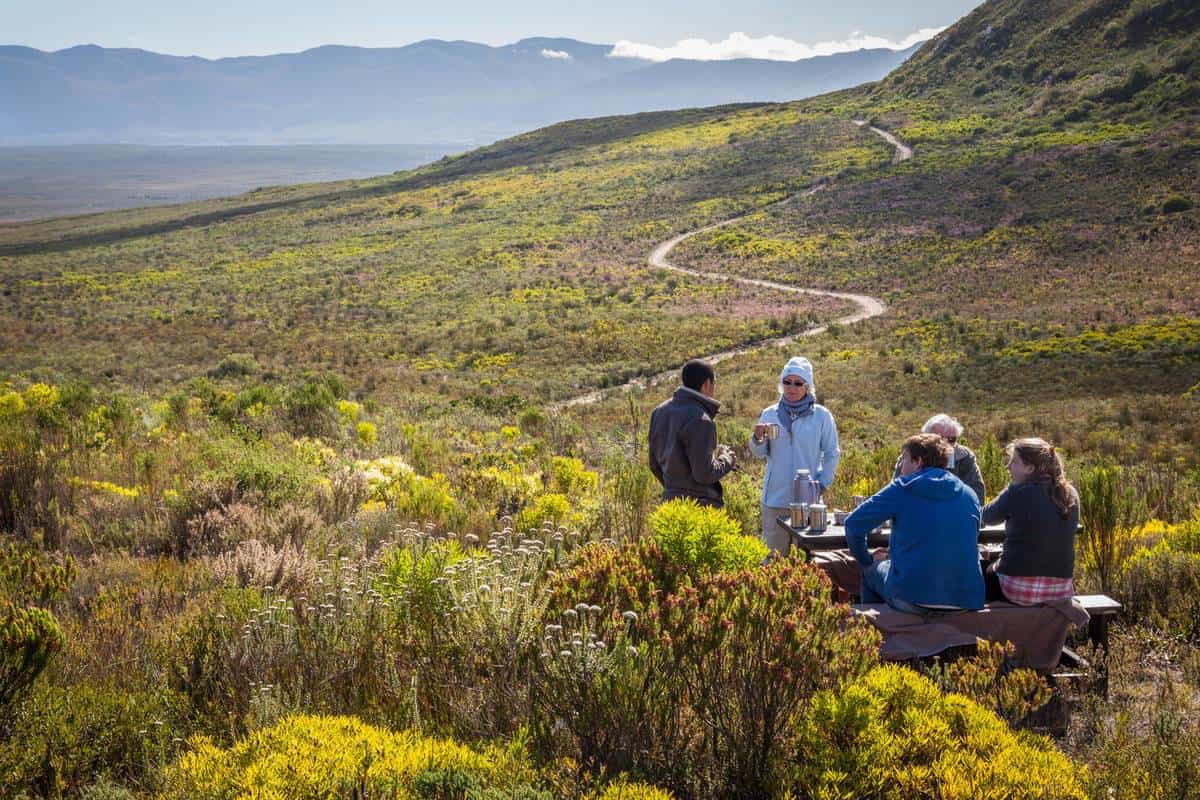 Grootbos flora and fauna Conservation in south africa
