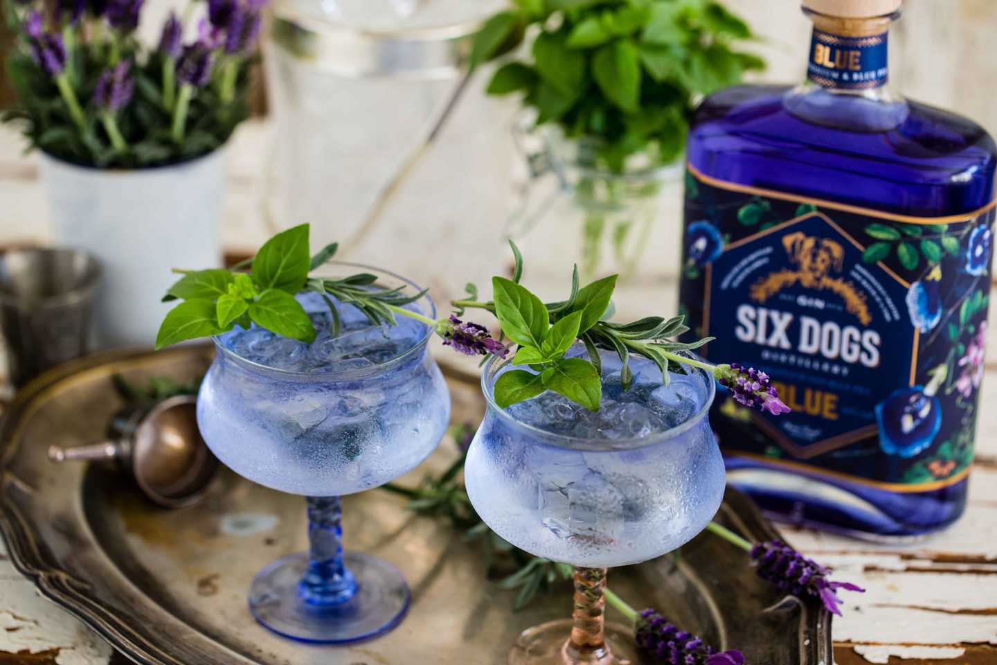 Christmas Gift Guide 2018 - dogs gin