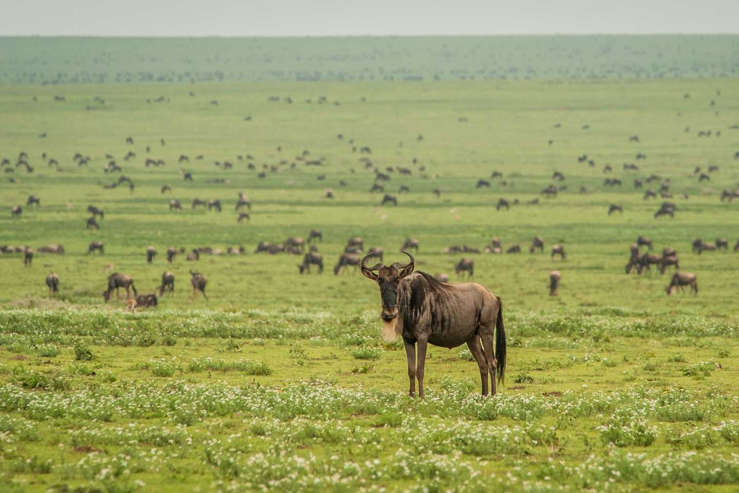 Best of 2018 - Tanzania